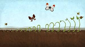 Mimi a líza - Záhrada